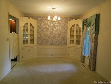 213 Leland Lake Dr, Jacksonville, IL 62650 - photo 4