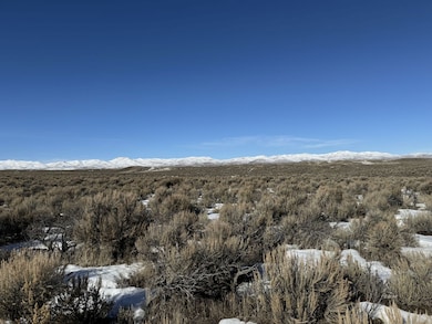 TBD Buchanan Ave, Elko, NV 89801 - photo 6