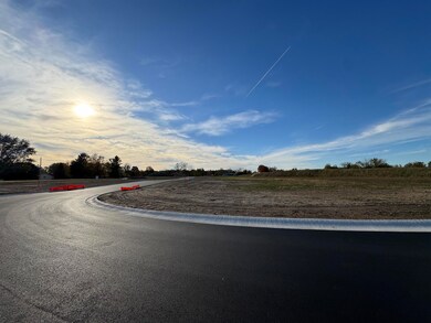 View of asphalt street with curbs and a rural view