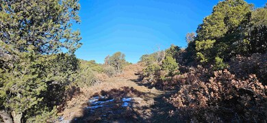 20231228_092631 (1)
