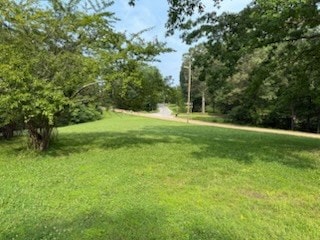 2824 Cypress Rd, Buchanan, TN 38222 - photo 5