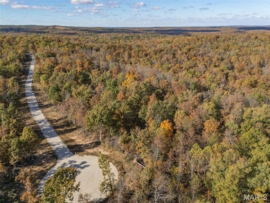 Aerial view of property's location with a forest