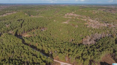 14304 Hargrove Rd E, Cottondale, AL 35453 - photo 5