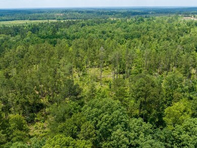 3486 Homer Alto Rd, Pollok, TX 75969 - photo 7