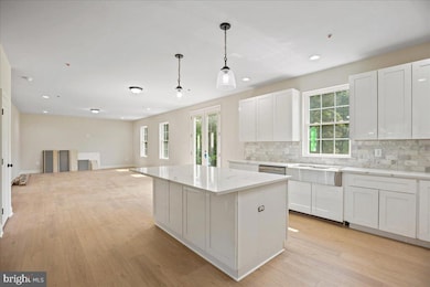 7016 Grace Landing Ct, Hughesville, MD 20637 - photo 4