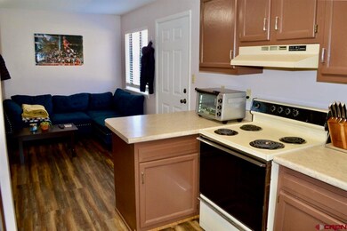343 E 8th Ave unit 4, Durango, CO 81301 - photo 3