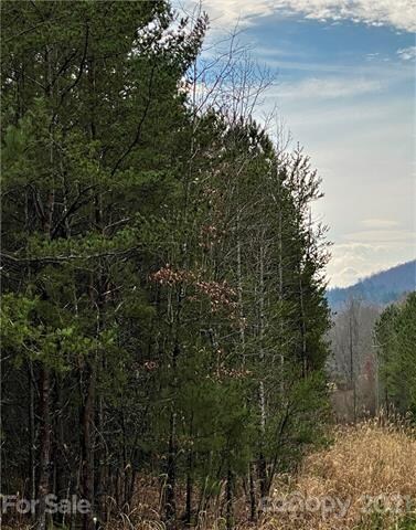 View from Early Place.