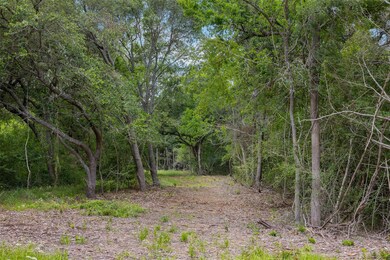 View of woods