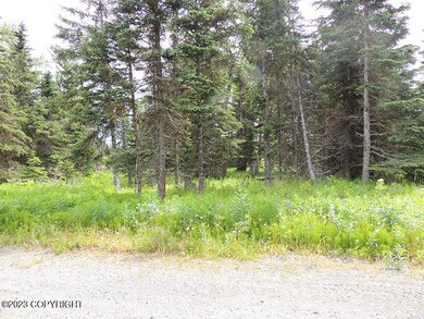 L7 B4 Plumb Ln, Happy Valley, AK 99556 - photo 3