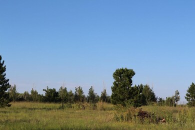 IMG_1013