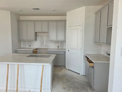 21903 Mystic Birch Lane ~ Under Construction