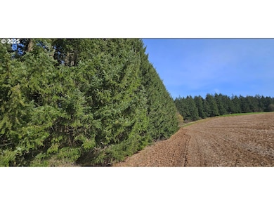 45035 NW Star St, Banks, OR 97106 - photo 7