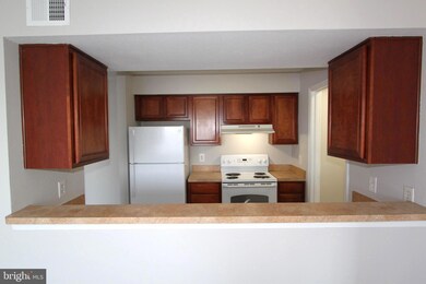 11256 Torrie Way unit J, Bealeton, VA 22712 - photo 6