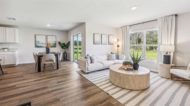 18412 Canopy Place, Bradenton, FL 34211 - photo 2