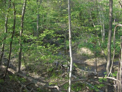 Creek View At Rear Of Property