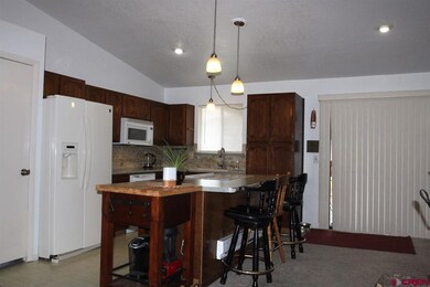 295 NW 10th St, Cedaredge, CO 81413 - photo 2