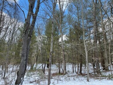 0 10 + - Acres Beaver Rd unit 22007967, Bitely, MI 49309 - photo 2