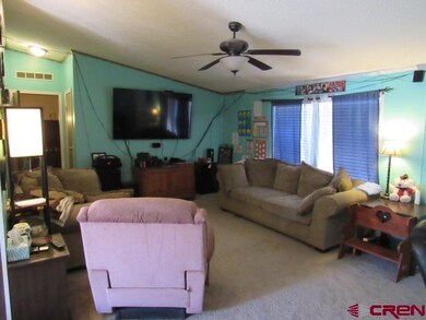 220 SW 12th Ave, Cedaredge, CO 81413 - photo 6