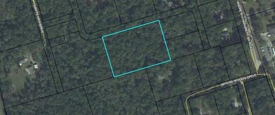 0 Pan Cera Dr, Crawfordville, FL 32327 - photo 4