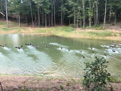 439 Live Oak Dr, Oxford, MS 38655 - photo 6