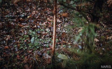 2 Lodge Rd, Bourbon, MO 65441 - photo 4