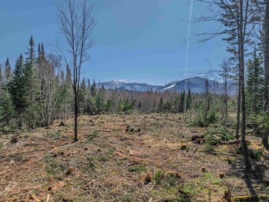 00 Easton Rd unit 4-1.1B, Franconia, NH 03580 - photo 7