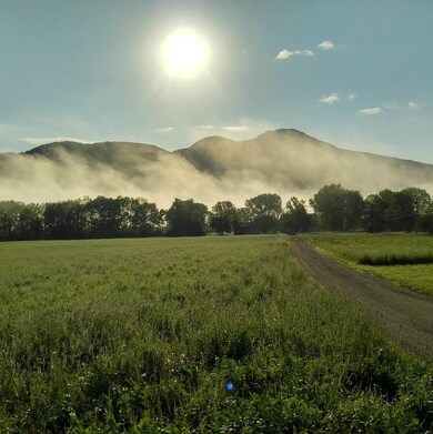 1841 Dorset West Rd, Dorset, VT 05251 - photo 3