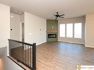 21214 Polk St, Elkhorn, NE 68022 - photo 5