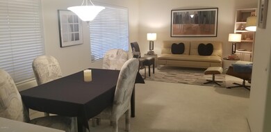 Living Dining Area Furnished