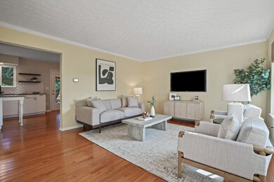 16-web-or-mls-DSC02466