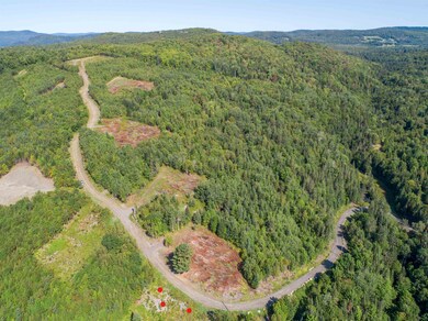 Lot 1 Gulch Brook Dr, Stewartstown, NH 03576 - photo 5