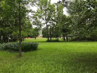 45, 46-A Basswood Dr, Spring, TX 77386 - photo 3