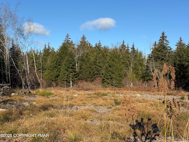 12 Laurel View Ln, Coolbaugh Township, PA 18466 - photo 4