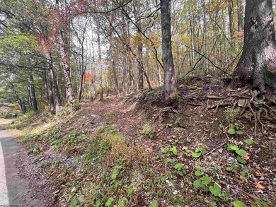 33213 Veterans Memorial Hwy, Terra Alta, WV 26764 - photo 7