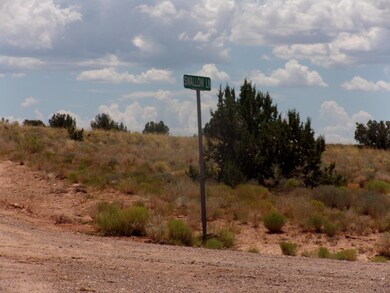 Old Woodruff Road 043