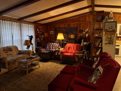 410 Cheyenne Dr, Horseshoe Bend, AR 72512 - photo 7