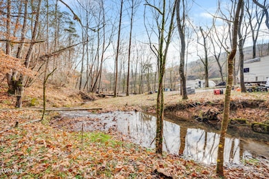 2309 Shavers Ford Rd, Jonesville, VA 24263 - photo 6