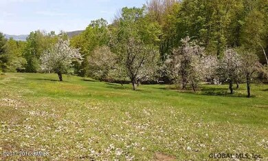 L20.2 Goldey Rd, Huletts Landing, NY 12841 - photo 7