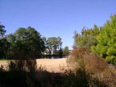 1215 Sea Palms West Dr, St. Simons Island, GA 31522 - photo 3