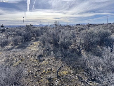 0 Aspen unit 20800, Christmasvalley, OR 97641 - photo 4