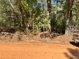 0 County Road 2202, Goshen, AL 36035 - photo 2