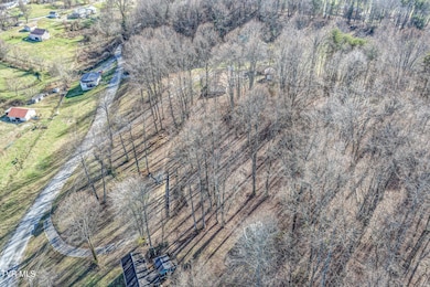 337 Johnson Cemetery Rd unit Lot 13, Blountville, TN 37617 - photo 6