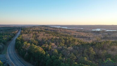 Aerial view at dusk featuring a wooded view