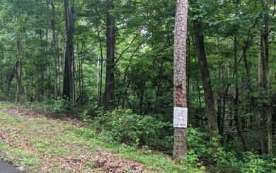 0 Lot 37 Timberwalk Dr unit 307814, Ellijay, GA 30540 - photo 3