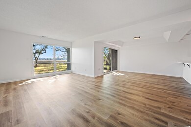 312 Salt Marsh Cir unit 6B, Pawleys Island, SC 29585 - photo 4