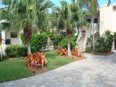 Sideyard and Entry