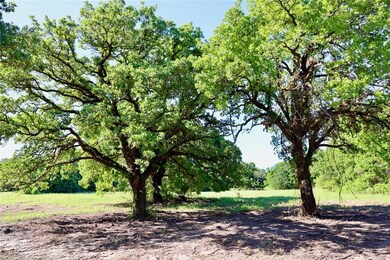 Tract 2 Fm 1810, Decatur, TX 76234 - photo 4