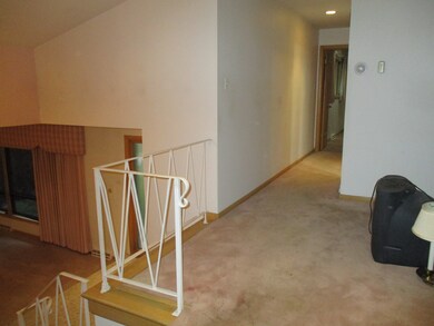 1001 Elm St, Flossmoor, IL 60422 - photo 6