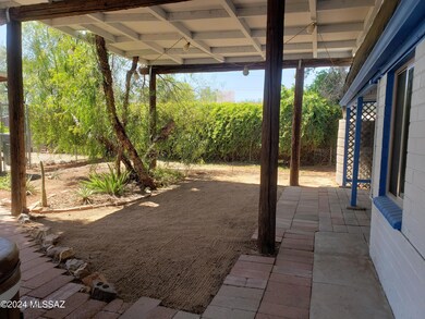 #1 Backyard-1