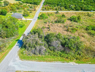 22143 Stanwood Dr & Westmeadow Dr, Whitney, TX 76692 - photo 6